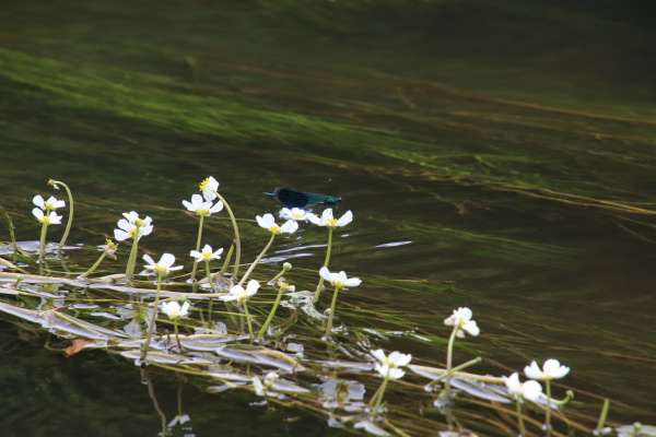 photo principale du coffret