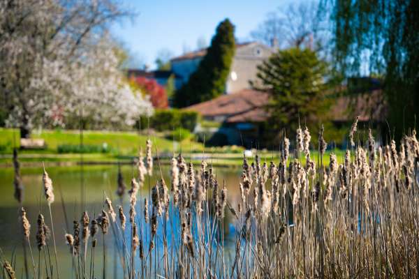 photo principale du coffret