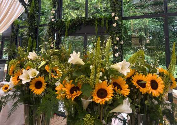 photo principale du coffret